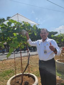 Shelter Anggur Terminal Tidar Magelang Dan Mimpi Terminal Tidar Menjadi Tempat Yg Nyaman